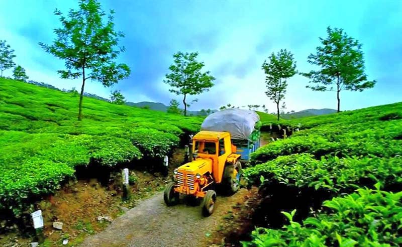 Unforgettable Kerala